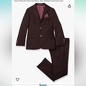 Boys Eggplant/ Burgundy 2 piece slim Suit